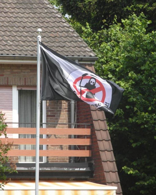 BmU zeigt Flagge Bild 4