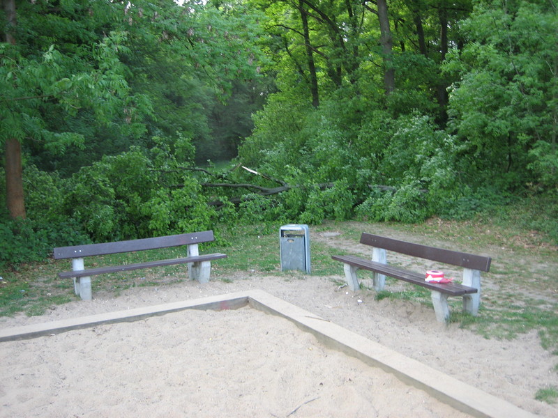 Umgestürzter Baum am Spielplatz Immermannstrasse - Foto 1