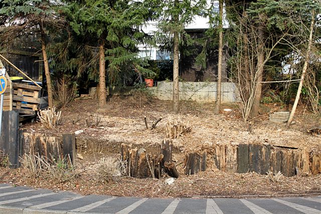 schlechter Zustand Grünfläche Dörpfeldstrasse Foto 1