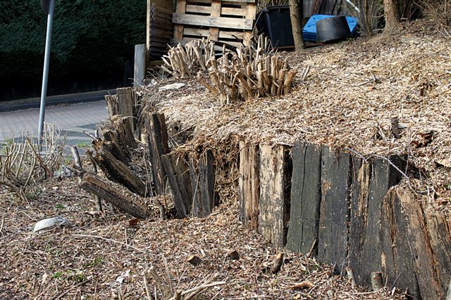 schlechter Zustand Grünfläche Dörpfeldstrasse Foto 2